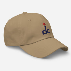 Washington Wizards Hat